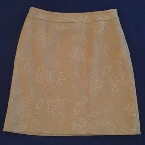 Ann Taylor skirt